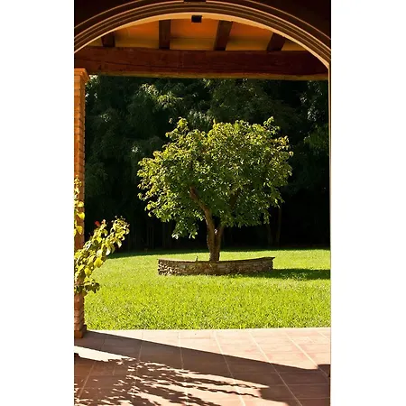 Villa Alisso